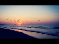 Melodic Progressive House mix Vol 85 (Songbird)