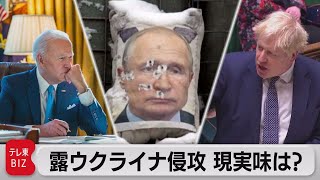 プーチン大統領の写真に弾痕…緊迫するウクライナ情勢　ロシアの侵攻はあるのか？（2022年1月28日）