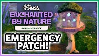 NEW EMERGENCY PATCH + Behind The Scenes Fairies Blog!