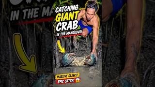 🦀 CATCHING A GIANT CRAB IN THE MANGROVE! 🌿🔥 #GiantCrab #CrabHunting #Mangrove #MudCrab #Night