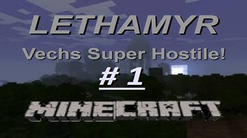 Minecraft Custom Map Lethamyr (Vech
