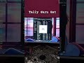 Tally Prime Practical Work Experience