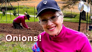 How to PLANT ONIONS | the Dixondale Farms method