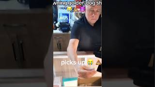 Pawning golden dog shit 😂😂 #pawnshop #prank #funnyreels