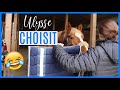 ÉPISODE 16 : MON CHEVAL CHOISIT SON ÉQUIPEMENT !