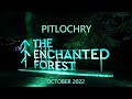Enchanted forest pitlochry  2022 together