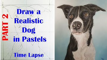 How to Draw a Realistic Dog in Pastels - Part 2 - Realistic Drawing Tutorial (Step by Step)