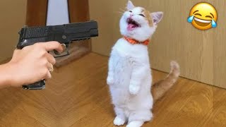 видео: Попробуй не засмеяться 😂 Самые смешные животные 😹🐶 Часть 10 картинка: Попробуй не засмеяться 😂 Самые смешные животные 😹🐶 Часть 10