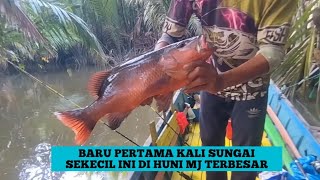 Terciduk Juga Akhirnya Ikan Menerbangkan Joran Saya Kemarin Di Sungai Ini.#mancing