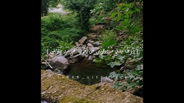 ﴿ إِنَّ الْمُتَّقِينَ فِي جَنَّاتٍ وَعُيُونٍ) أجمل تلاوة مريحة للنفس للقارئ ( هزاع البلوشي) #قرآن