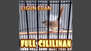 Download Lagu Cigun Edan Rasa Cililin MP3