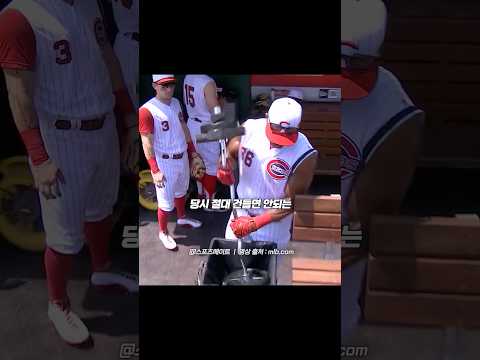 <strong>MLB에서</strong> 절대 건들면 안된다고 소문났던 팀