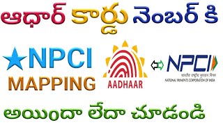 NPCI mapping check|aadhar NPCI mapping how to check|bankaccount NPCI how to check|