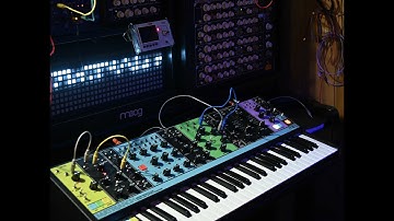 Drive Lullaby- Moog Matriarch and ASM Hydrasynth