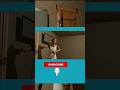 Epic Rat Stomp Fail – He Stepped on His Own Foot! 😂💥