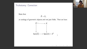 Minhyong Kim, Arithmetic topology, path integrals, analogy between function fields and number fields