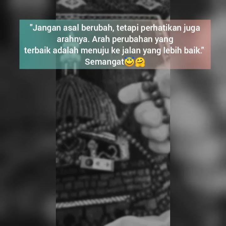 Story WA 🎶ketika cinta bertasbih ❤️