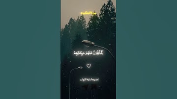 سورة العنكبوت ( الآيات 5←8 ) #foryou #shortvideo #القرآن_الكريم #سورةالعنكبوت