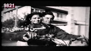 طوطی سلیمی /  Tooti Salimi