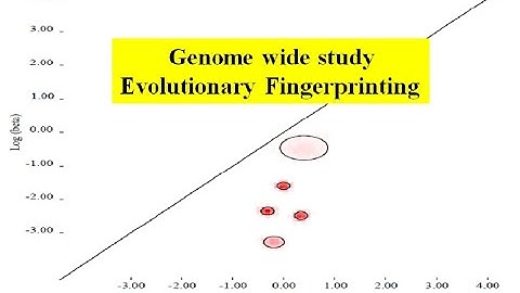 Evolutionary fingerprinting | adoptive selection | classical datamonkey | Positive selection
