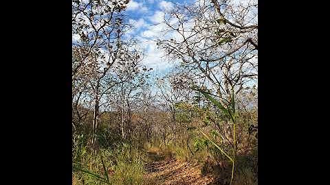 Left Foot Forward| Graham Preskett & Kpm String Quartet