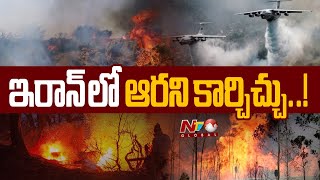 Iran Seeks Urgent Assistance To Put Out Fire In Unesco-Listed Hyrcanian Forests Ntv Global