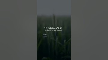 الله يعلم ما تحمل كل أنثى وما تغيض الأرحام وما تزدادوكل شىء عنده بمقدار(سورة الرعد اية ٨ طارق محمد