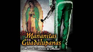 Mañanitas Guadalupanas (Disco Completo) Mariachi Cantares De Mexico