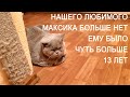 ВЛОГ: МАКСИКА БОЛЬШЕ НЕТ. ПРОСТО ОЧЕНЬ ГРУСТНО!