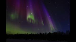 Spectacular dancing Northern Lights (Aurora) in Lapland