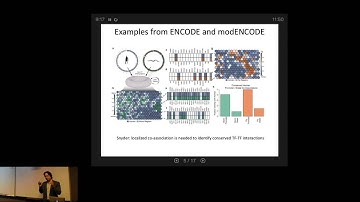 DANIO-CODE in the Light of modENCODE by Ben Brown