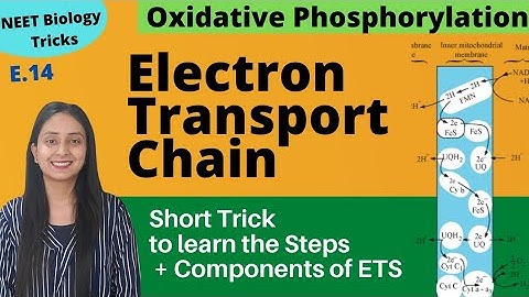 Super Easy way to Learn Electron Transport Chain | Short Trick | NEET Biology