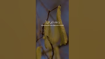 سورة الروم الآية 50 | فانظر إلى آثار رحمة الله | تلاوة خاشعة