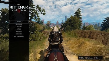 The Witcher 3: Wild Hunt Walkthrough Gameplay Part 5 - Novigrad [PS4]