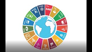 State of the SDGs in Canada - Halfway to 2030 screenshot 3