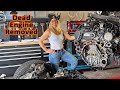 Dead engine removal from our land rover lr4  s5ep14