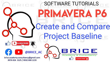 PRIMAVERA P6 BASELINES : P6 Lesson 4.1
