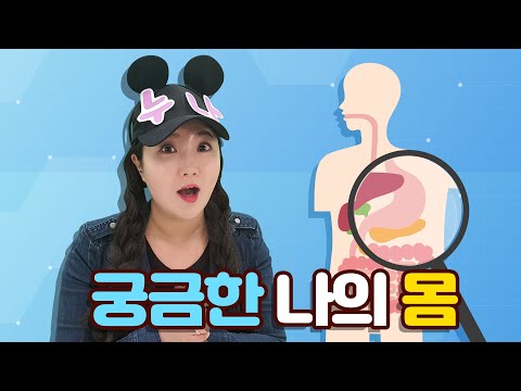누리나래 3호 1단계 가정활동영상 궁금한 나의 몸