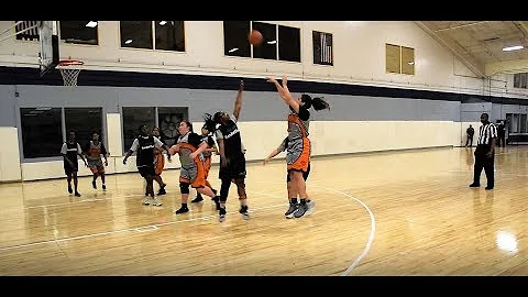 Alexandria Williams #12 Mid-Season 2017-2018 Baske...