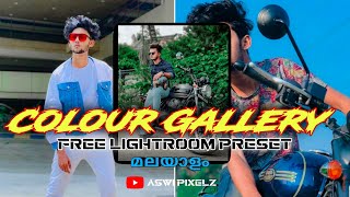 Colour Gallery |Free lightroom Preset |Cg preset |Malayalam |Lightroom Preset