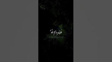 تلاوة هادئة تريح الاعصاب ❤️ قرآن كريم بصوت جميل جدا
