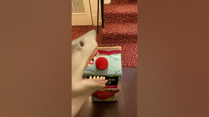 SHARK PUPPET GETS ATTACKED BY KUSH PAPI!!!!!