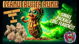 Trying TSME Peanut Butter Runtz THCa Flower - Buttery Sweet!