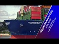 HMM ALGECIRAS | Biggest Container Ship of the World | Port of Hamburg | June 2020