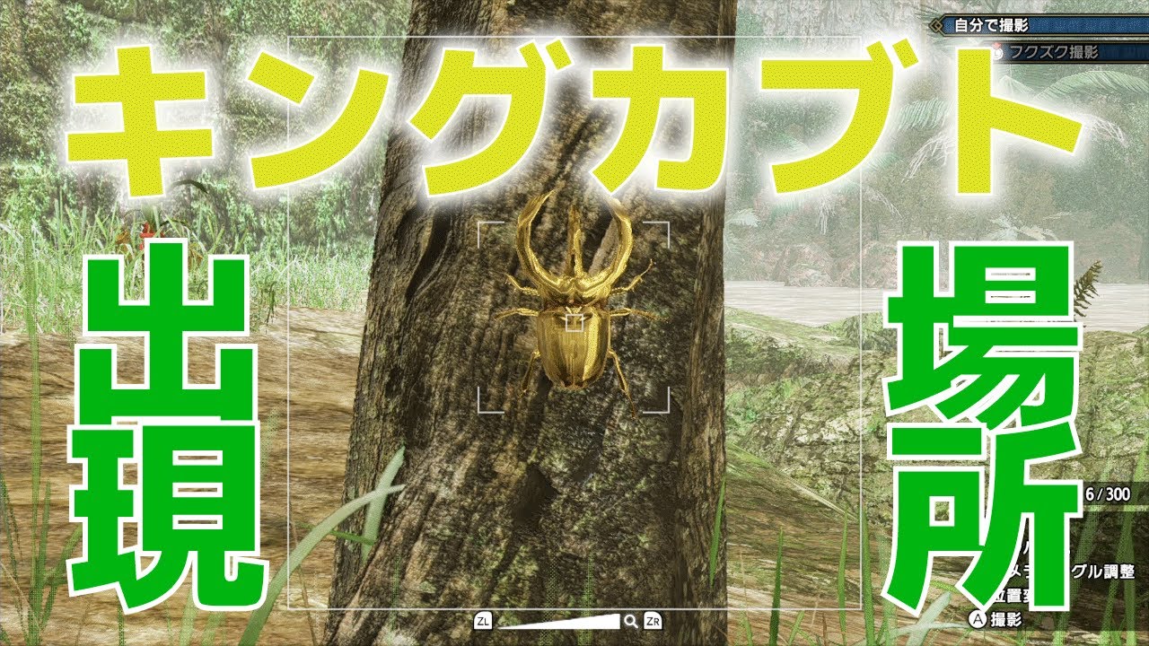 モンハンライズ キングカブトはどこ 出現場所まとめ 上位はゴットカブトも出現 Mhrise Youtube