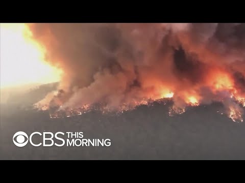 Australia wildfires kill at least 19, force thousands to evacuate