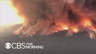 Australia wildfires kill at least 19, force thousands to evacuate