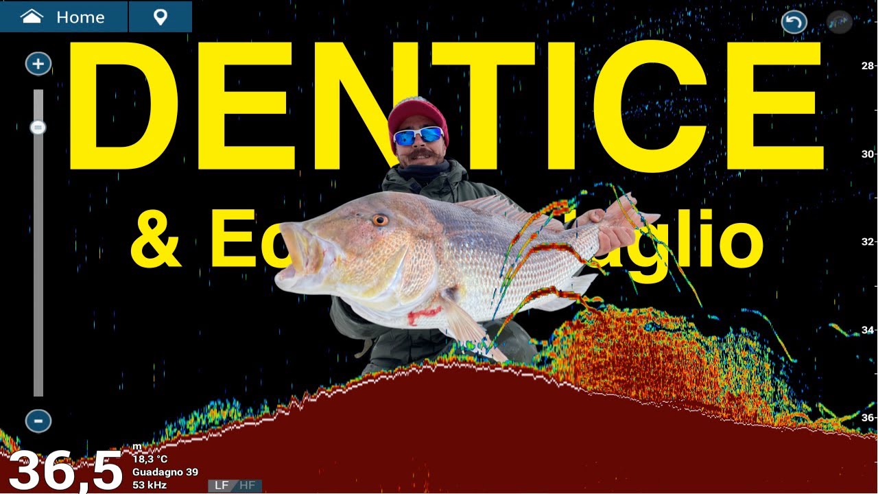 Pesca DENTICE Ecoscandaglio & Cartografia (traina con esca viva)