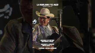 La marejada y el mazo ya están disponibles en: HMOMUSICAL OFICIAL