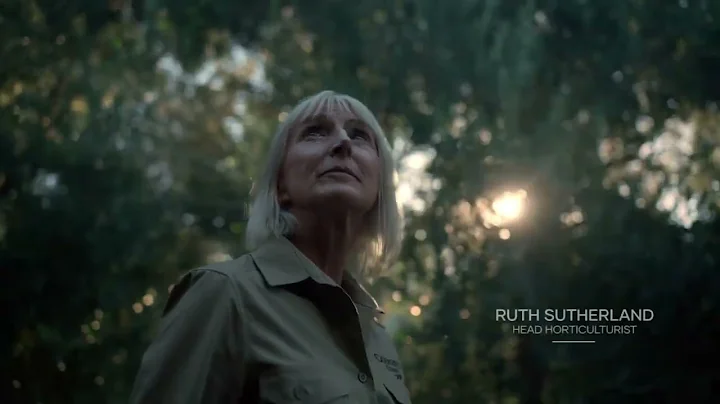 Cobram Estate Ruth Sutherland TVC